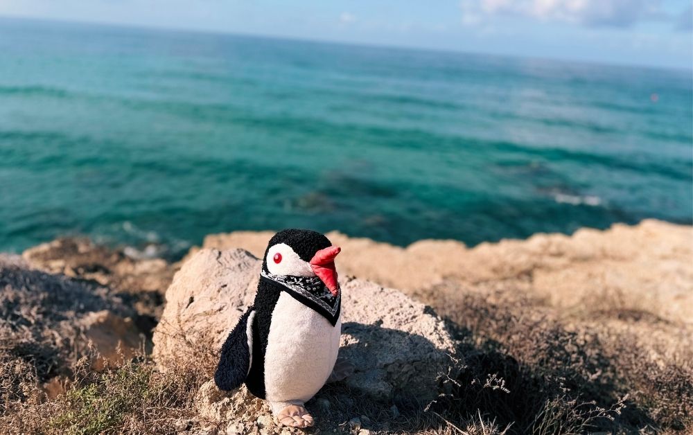Paphos Cyprus itinerary featured