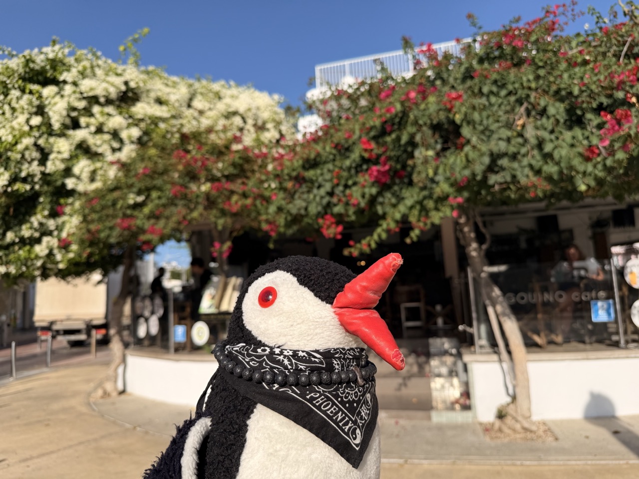 Paphos food guide