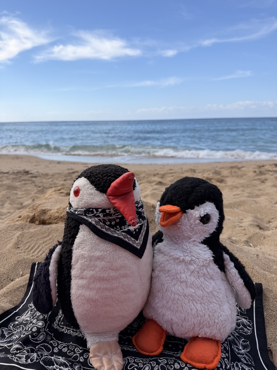 Penguin stone