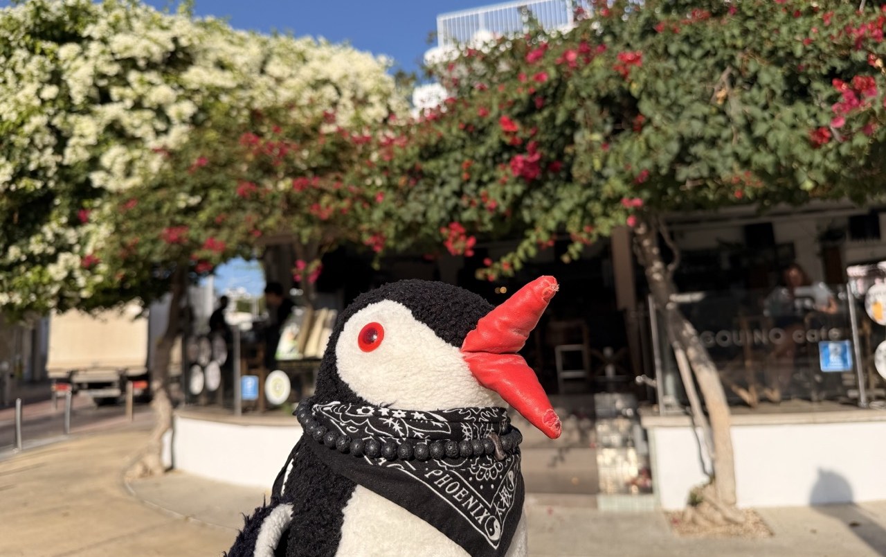Miško the toy penguin under a blossoming tree on a restaurant terrace in Paphos, Cyprus