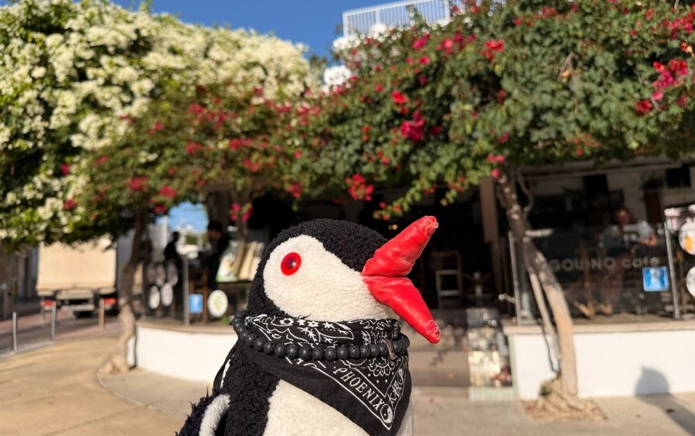 Reataurants Paphos featured