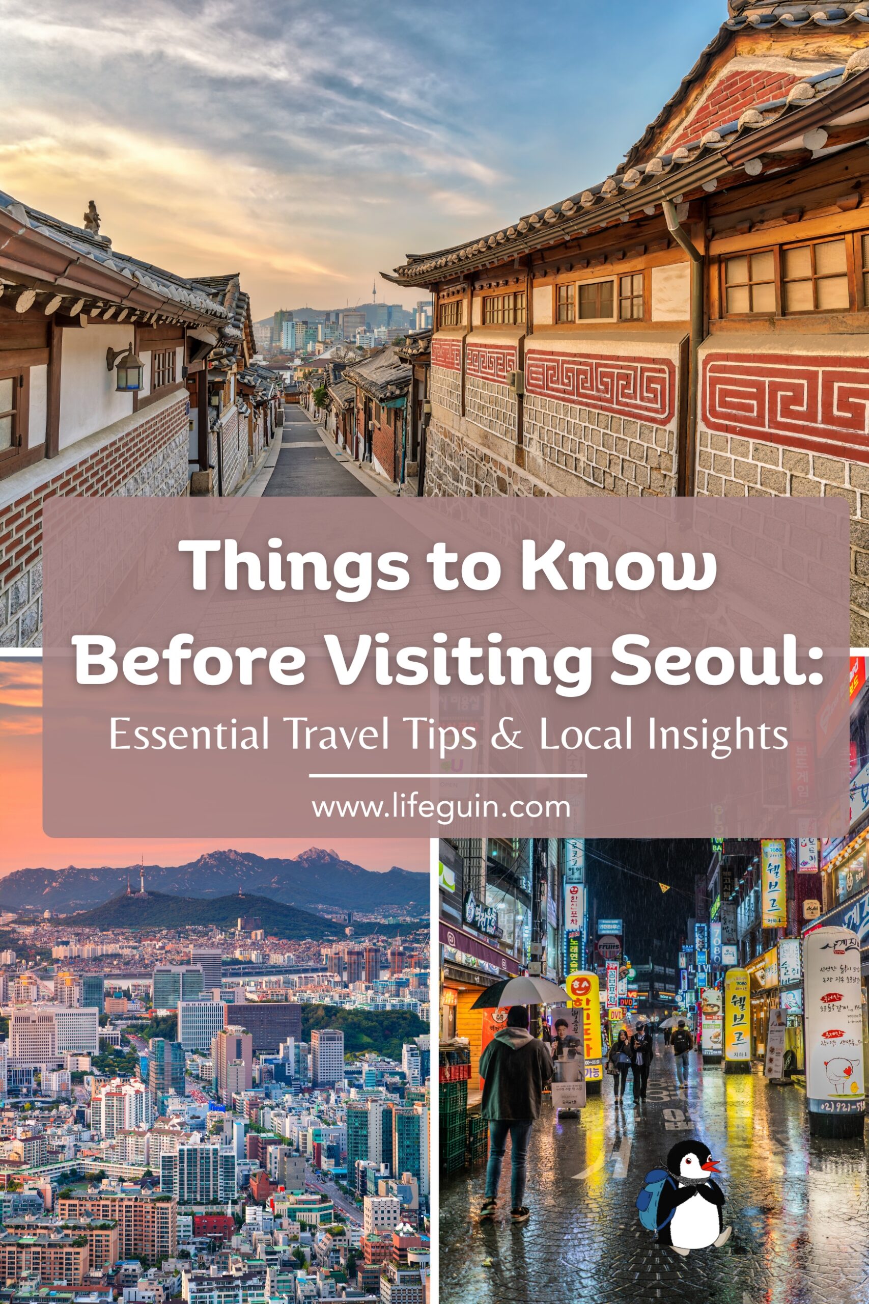 Seoul pin