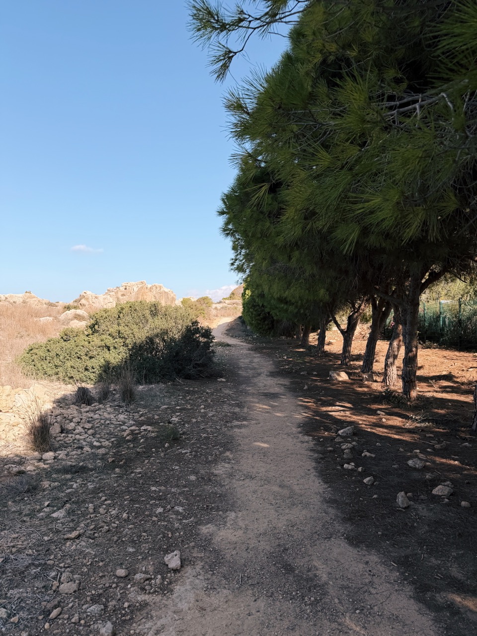 Tombs of Kings Paphos