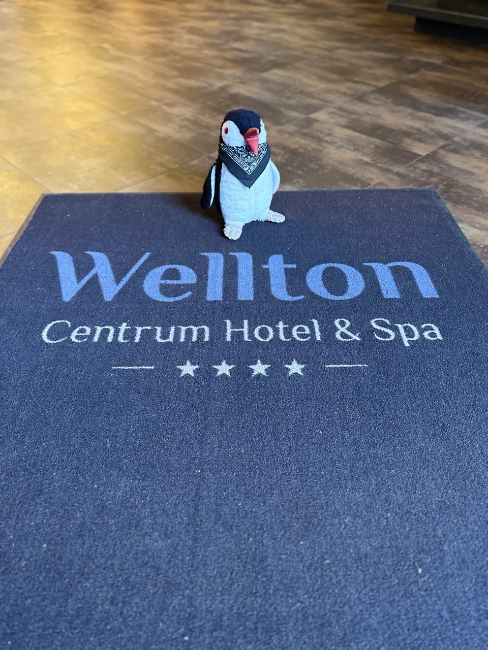 Wellton Riga Hotel review