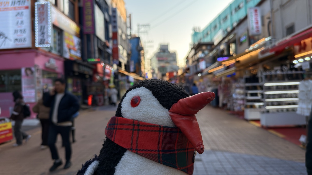 Plush penguin wearing a plaid scarf on a busy Seoul street