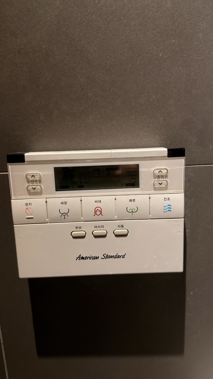 Lemong Hotel Seoul review