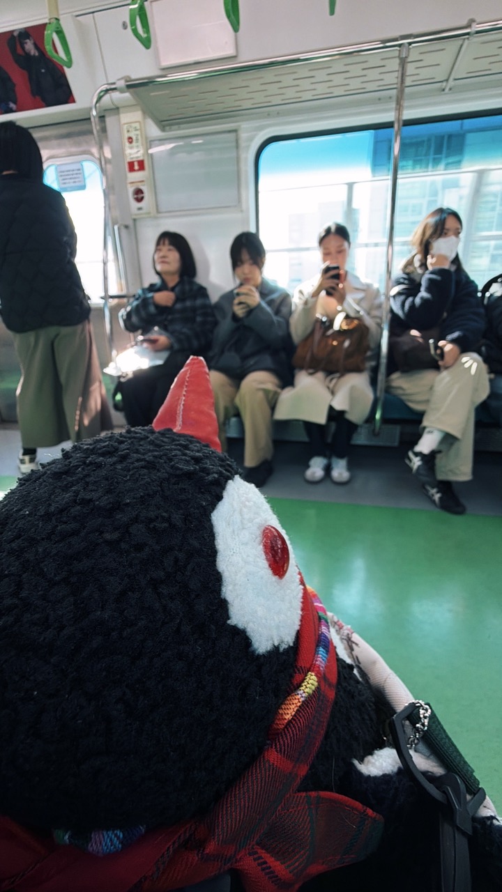 Seoul Public Transport