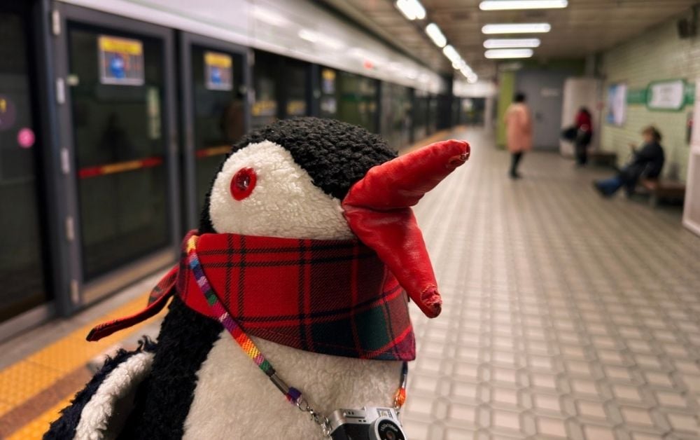Seoul Public Transport featured