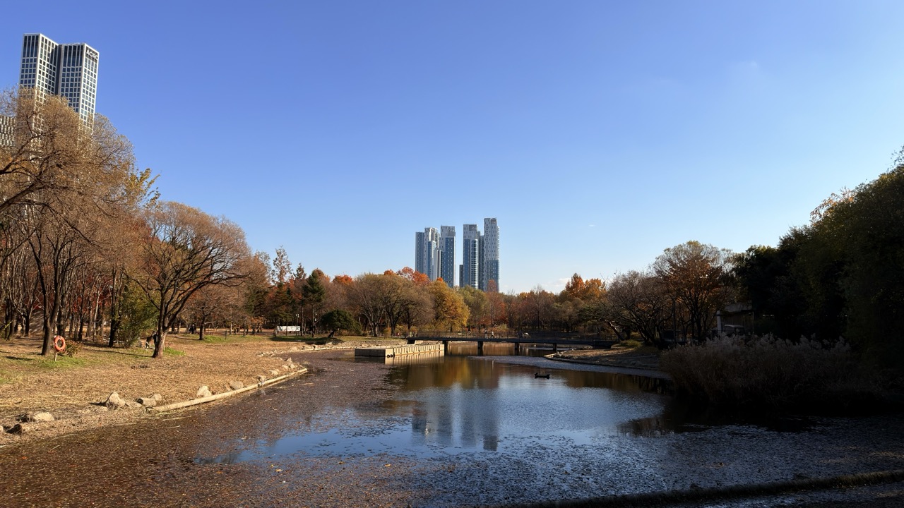 Seoul forest