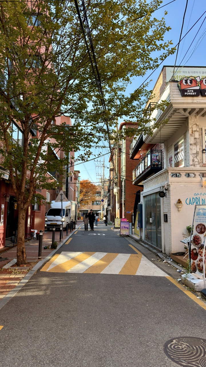 Seoul forest