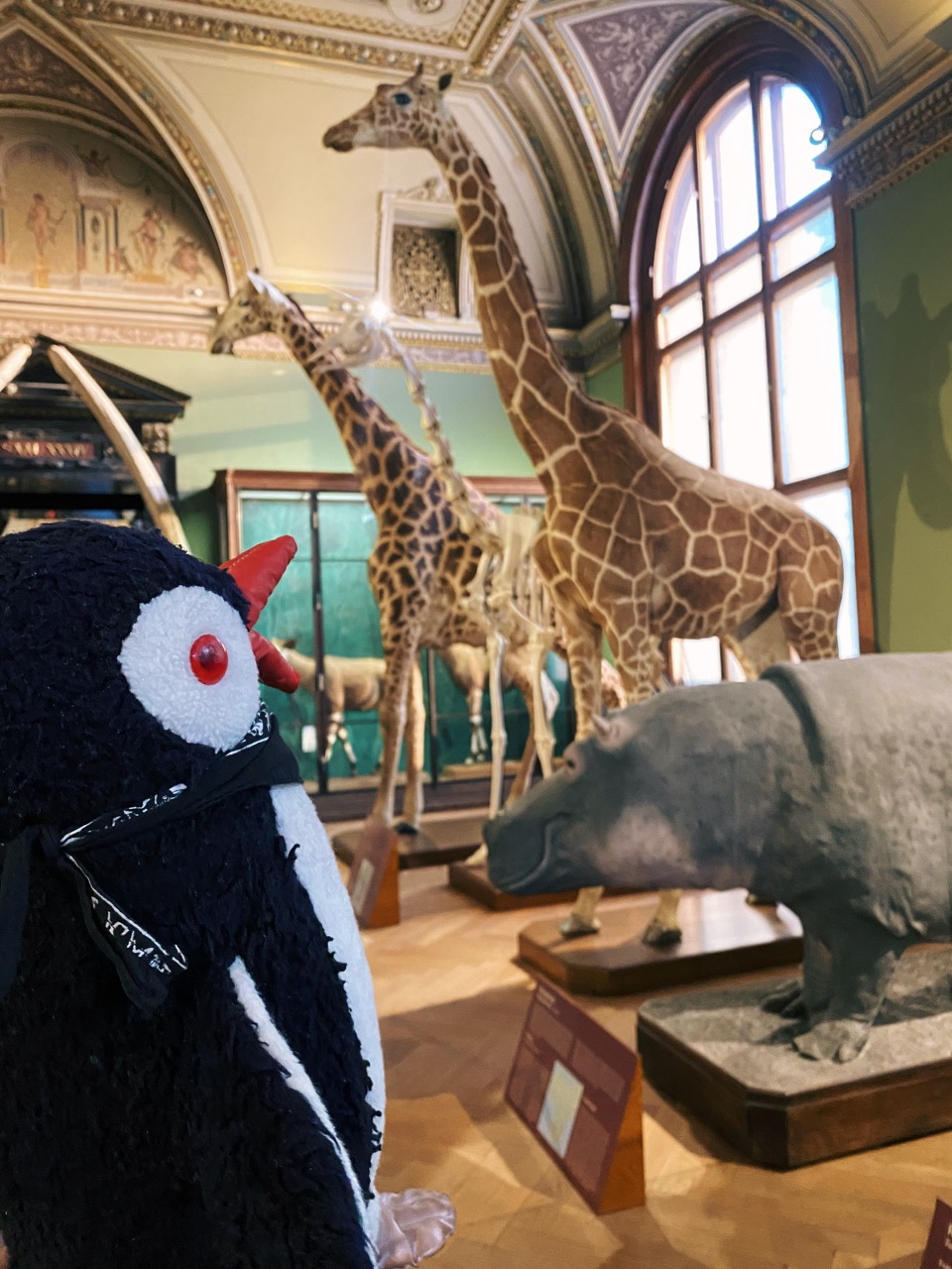 Viena Natural History Museum