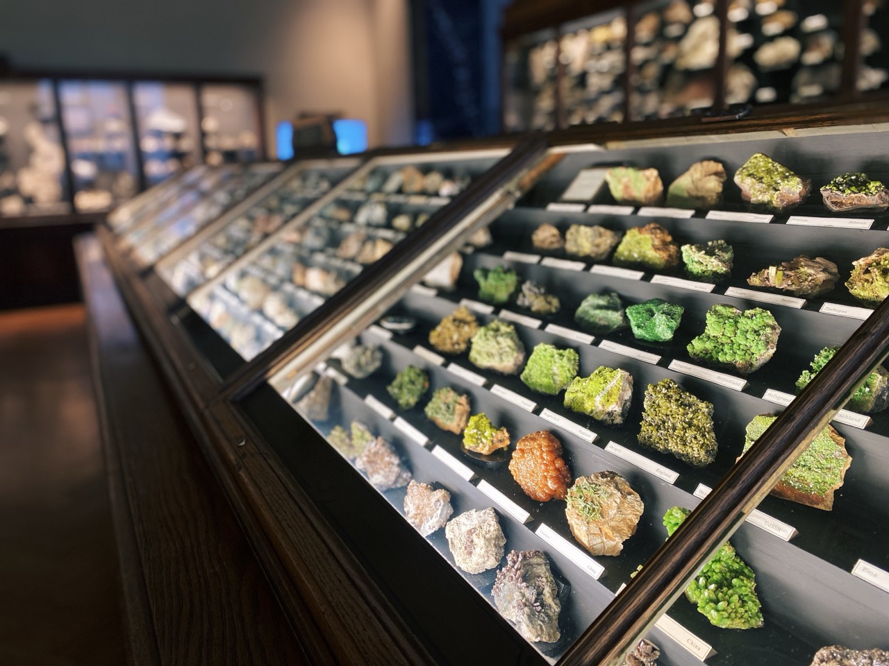 Viena Natural History Museum