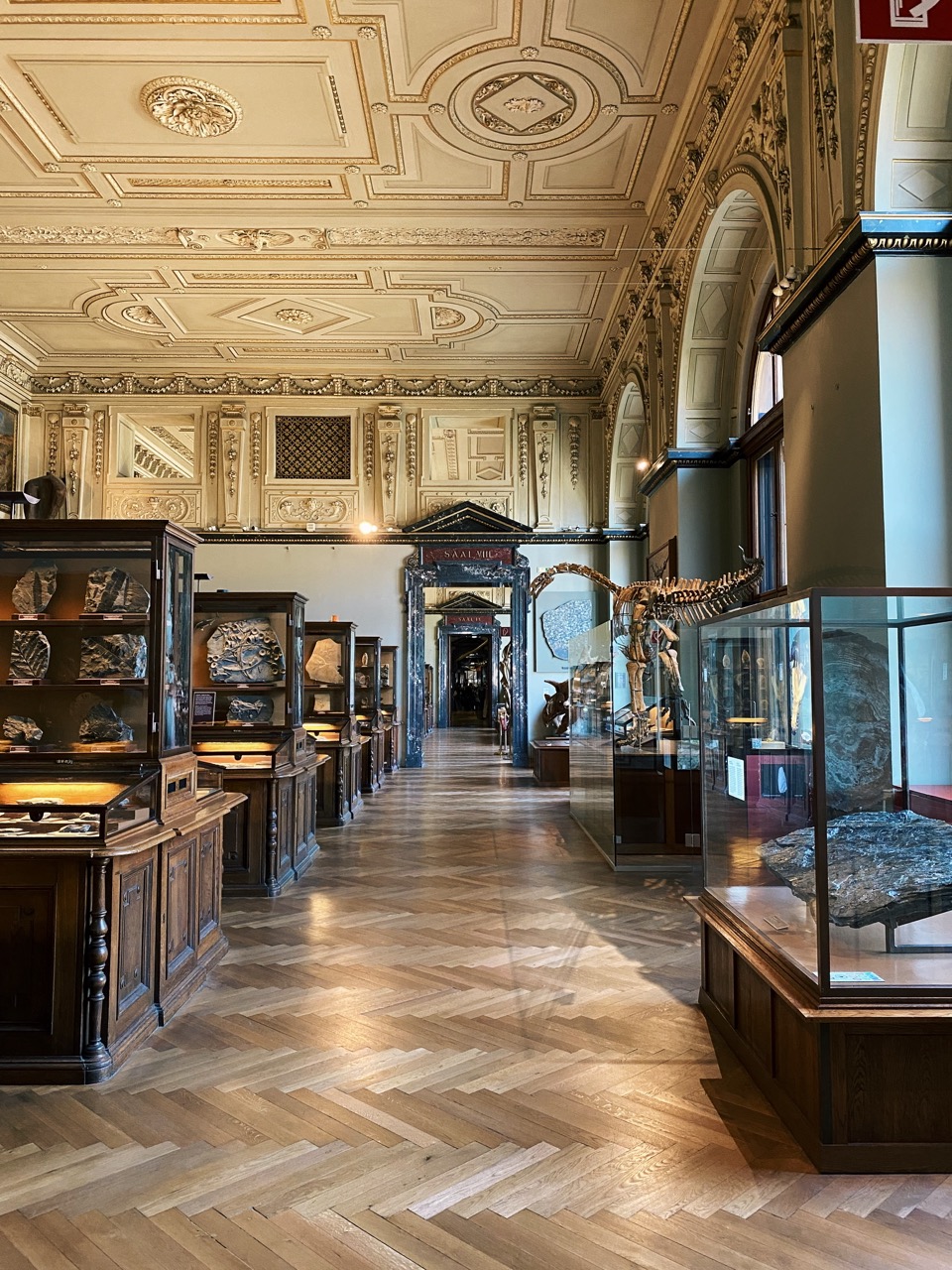 Viena Natural History Museum