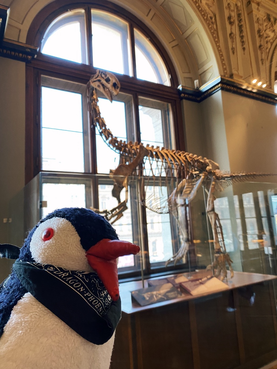 Viena Natural History Museum