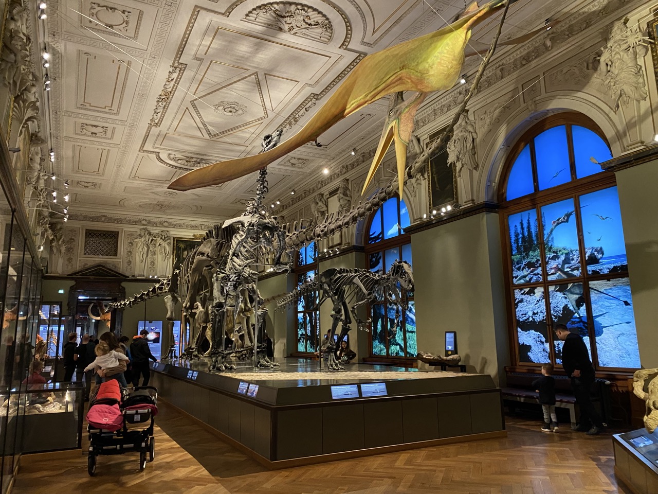 Viena Natural History Museum