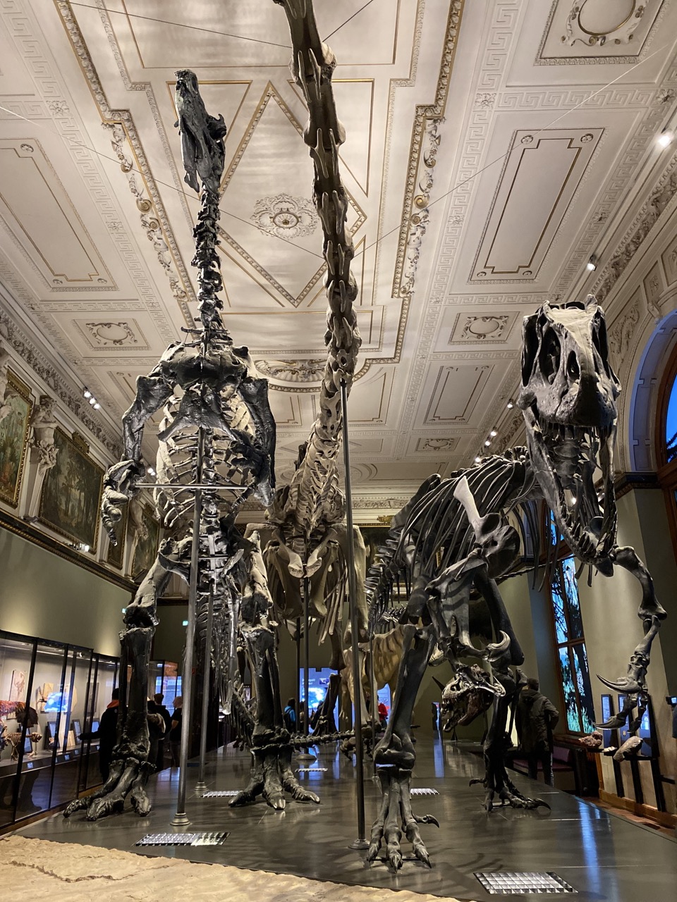 Viena Natural History Museum