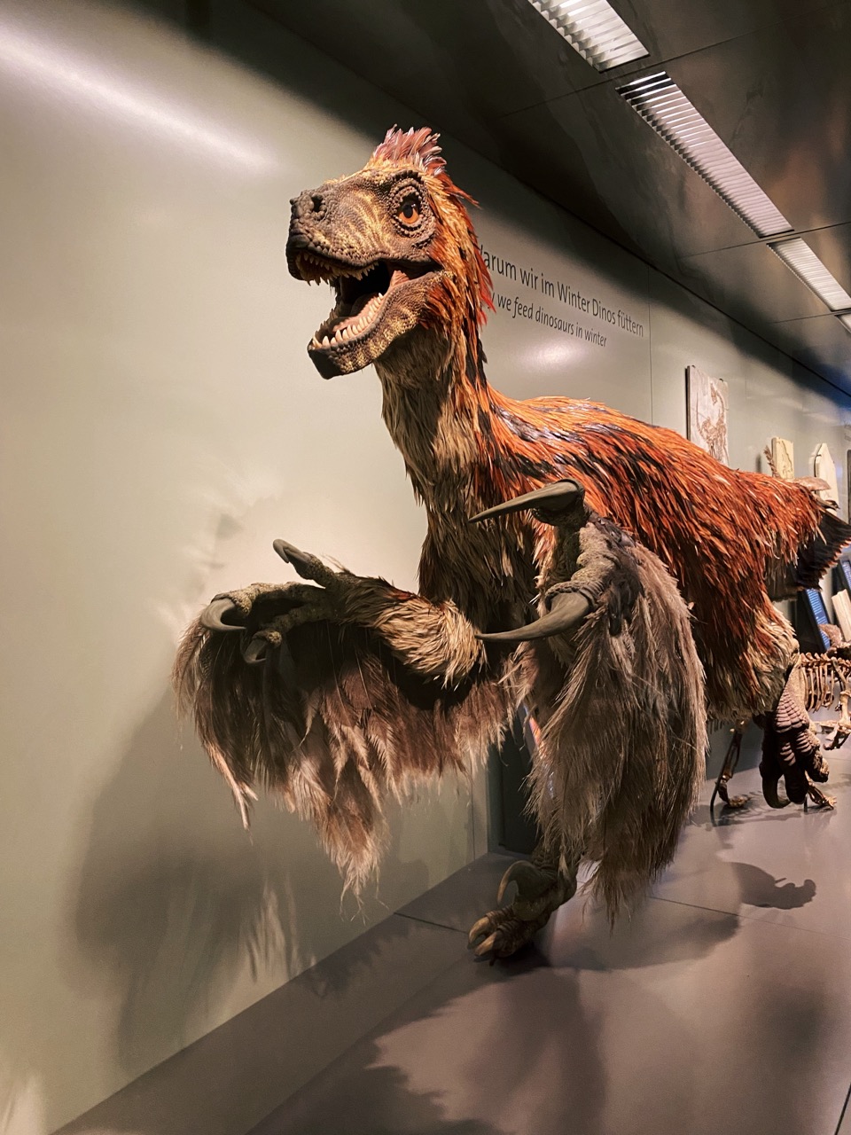 Viena Natural History Museum