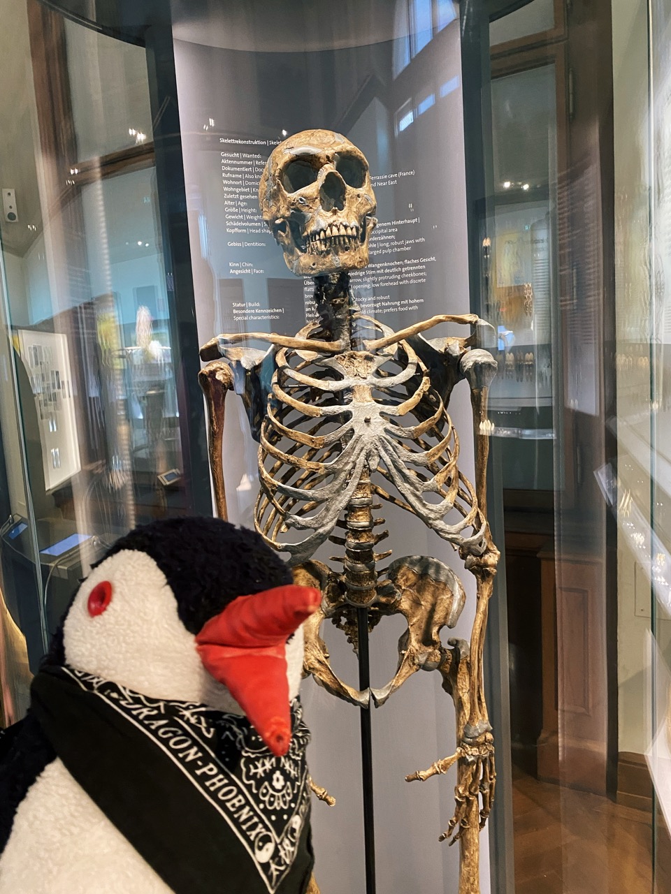 Viena Natural History Museum
