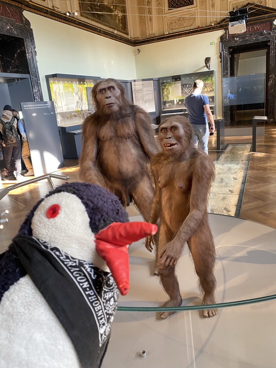 Viena Natural History Museum