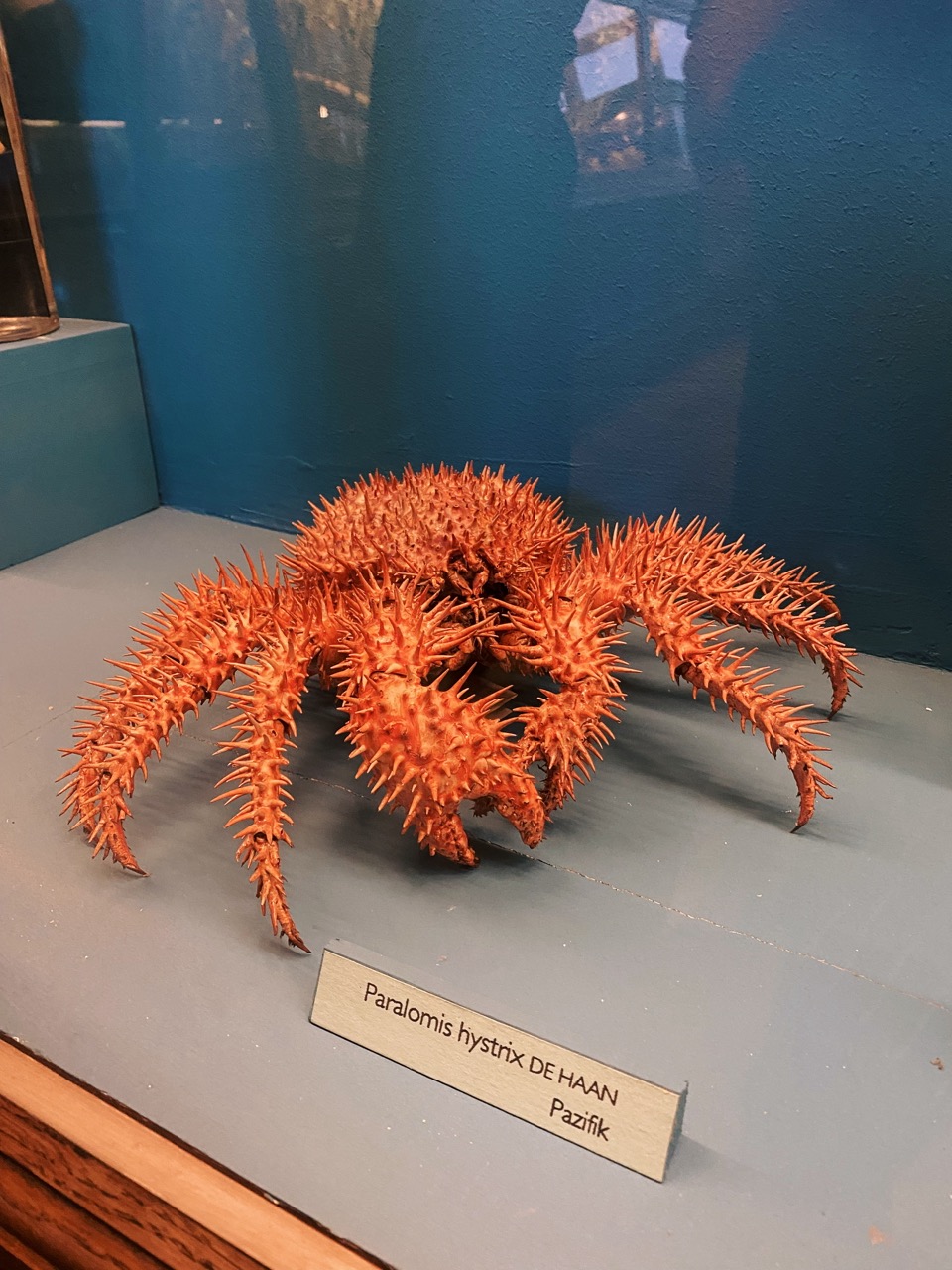 Viena Natural History Museum