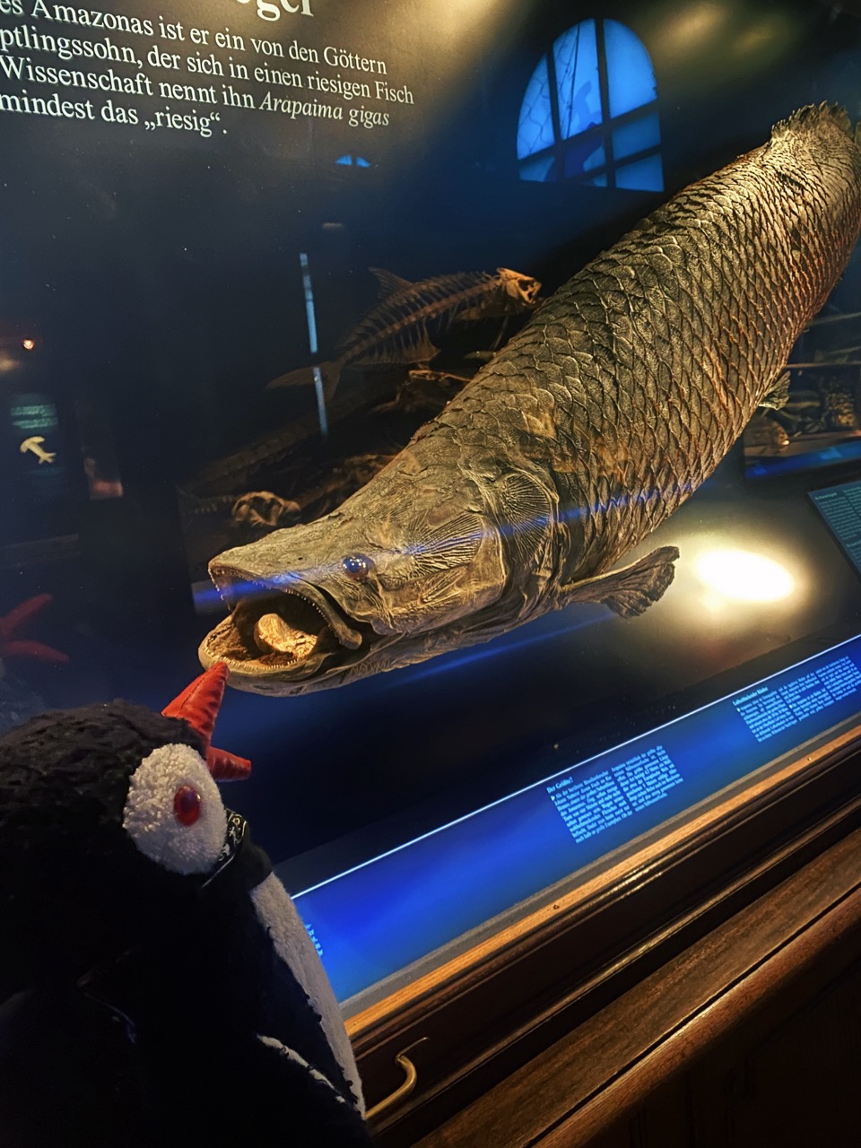 Viena Natural History Museum