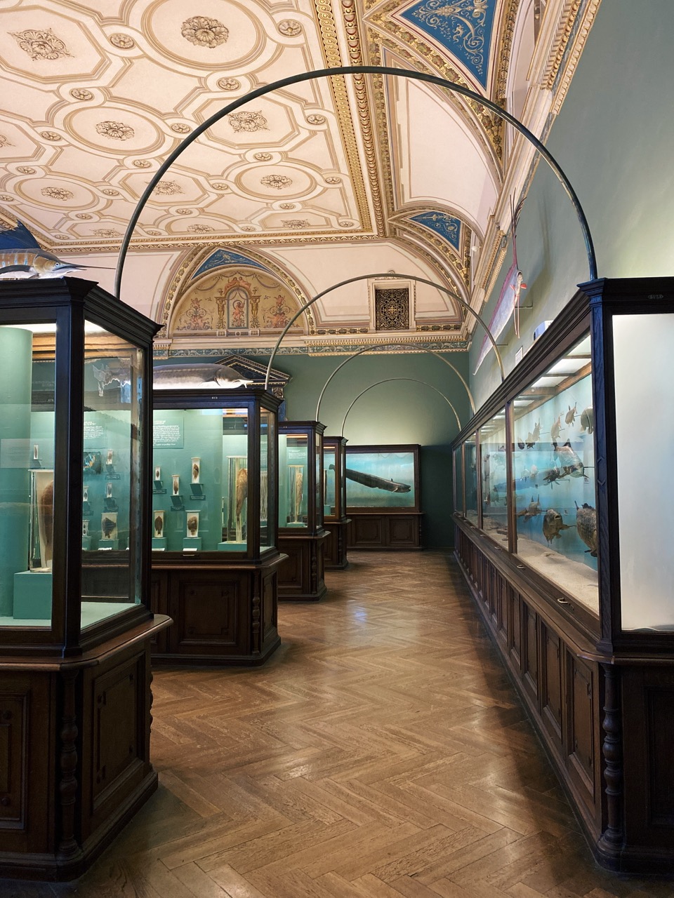 Viena Natural History Museum