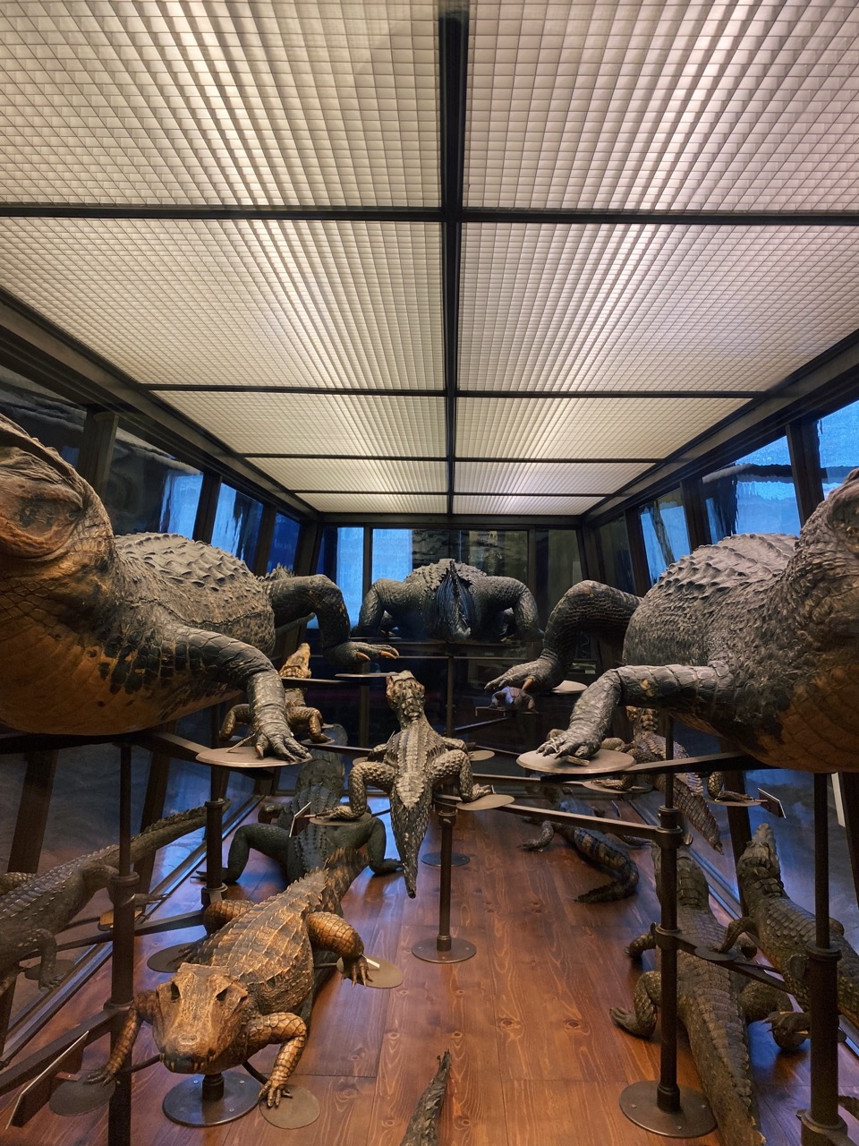 Viena Natural History Museum