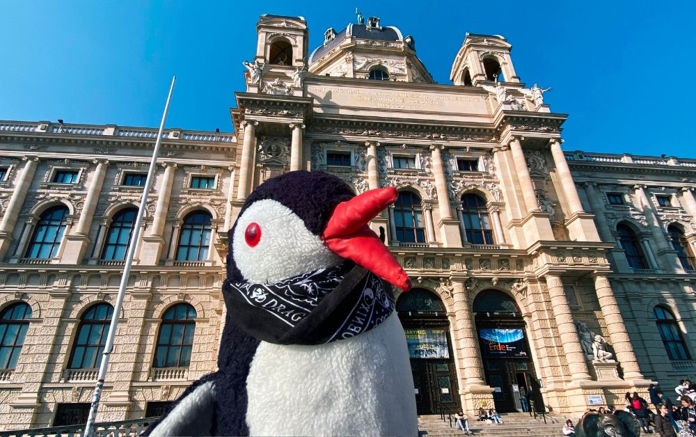 Viena Natural History Museum featured
