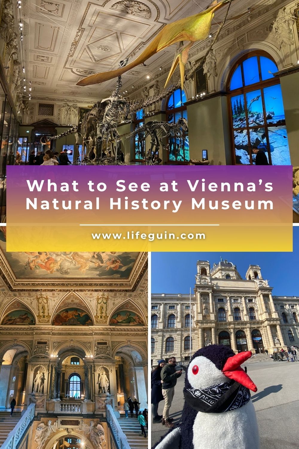 Collage of Vienna’s Natural History Museum featuring exhibits, ornate interiors, and Miško the plush penguin