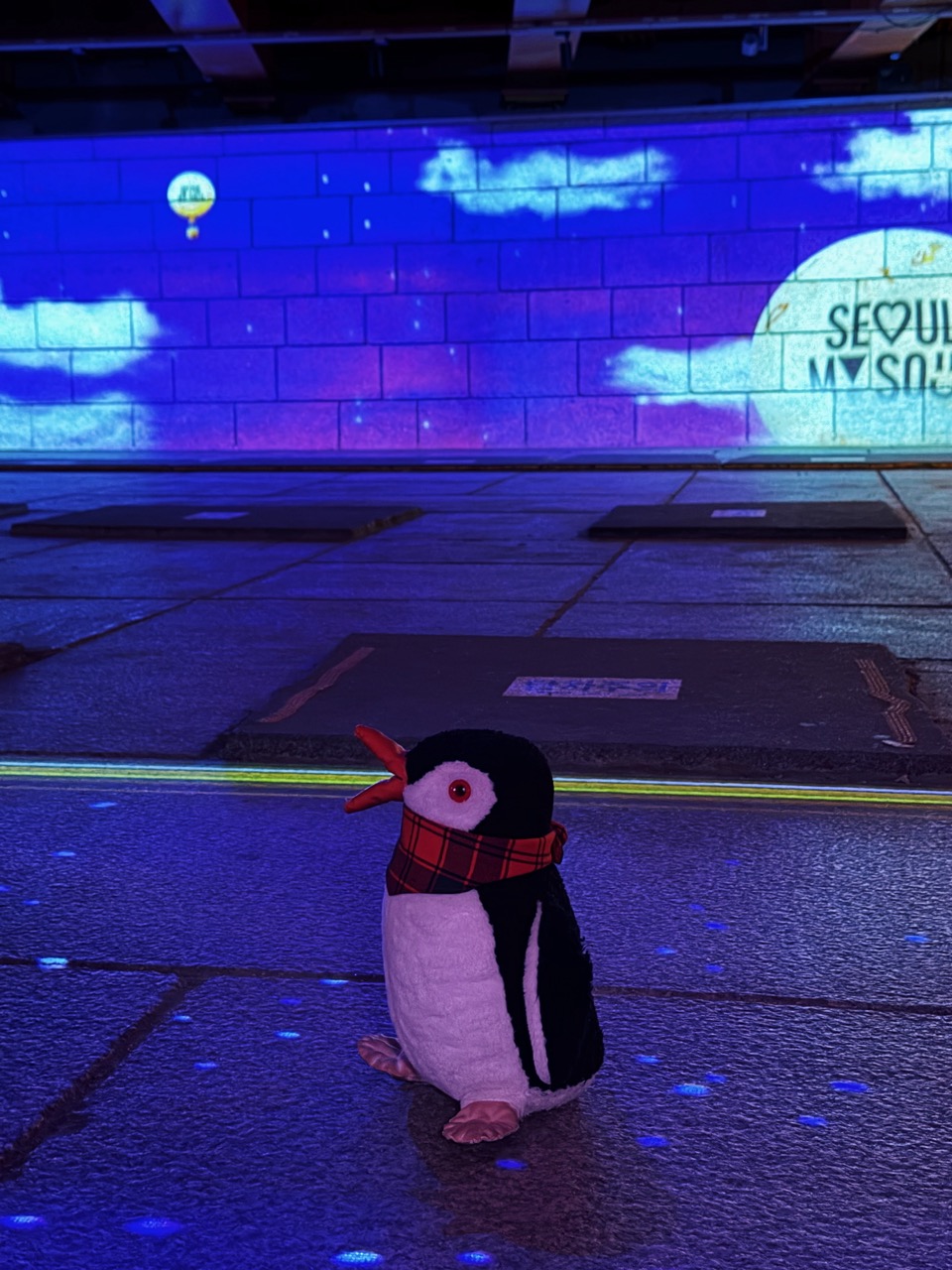 Plush penguin Miško wearing a bandana at Cheonggyecheon Stream under colorful light projections