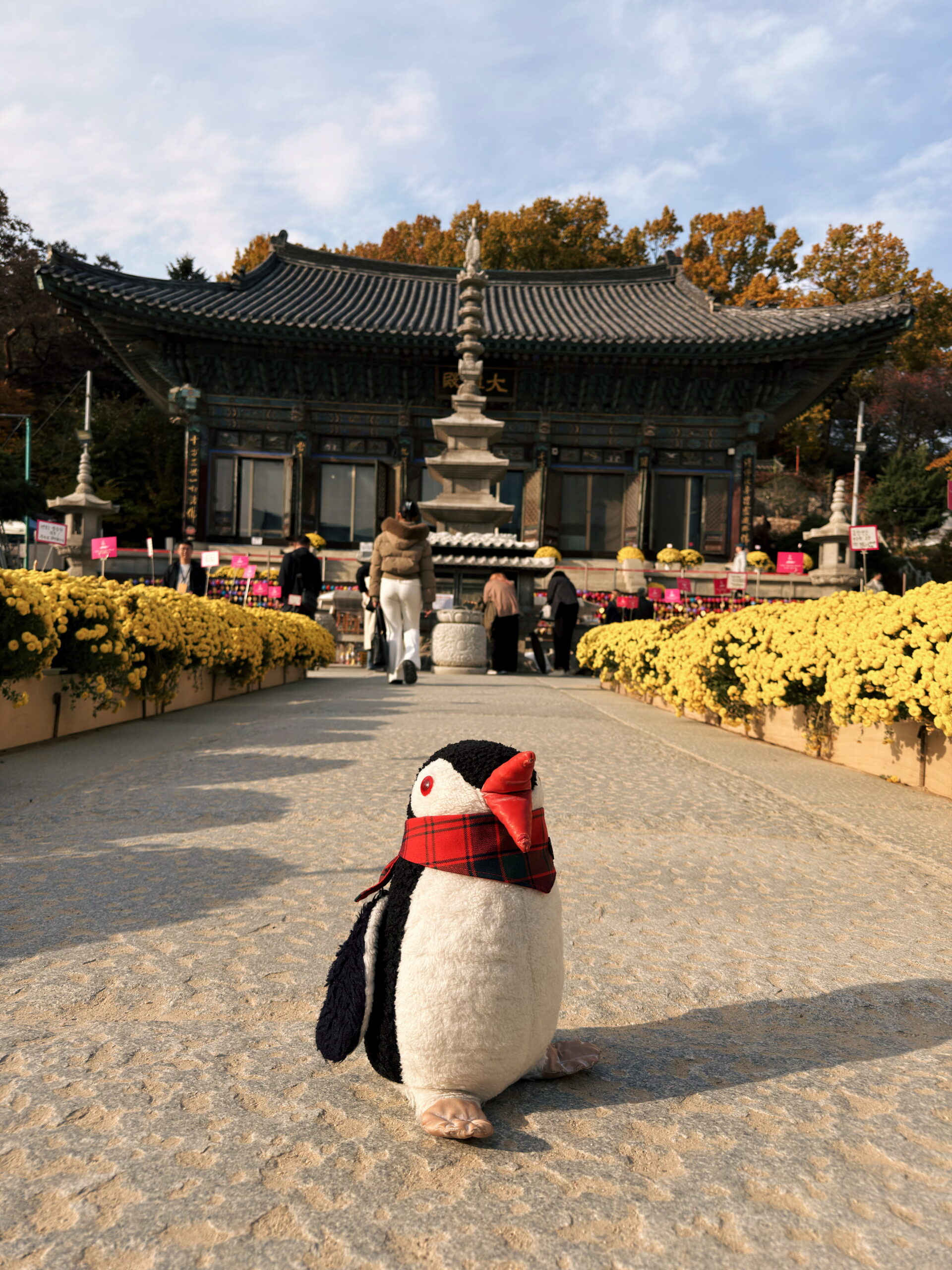 Bongeunsa Temple Seoul