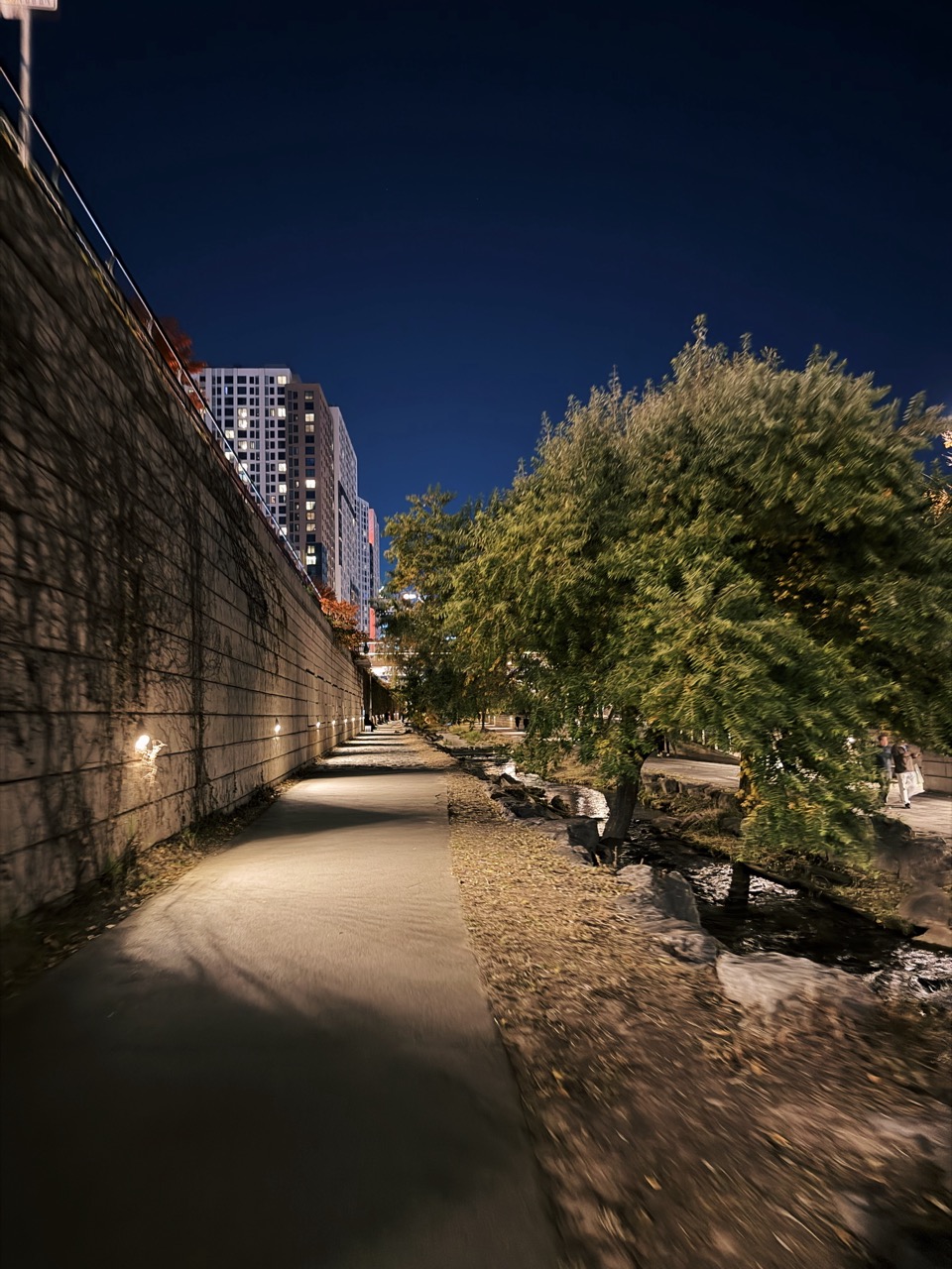 Cheonggyecheon Stream seoul