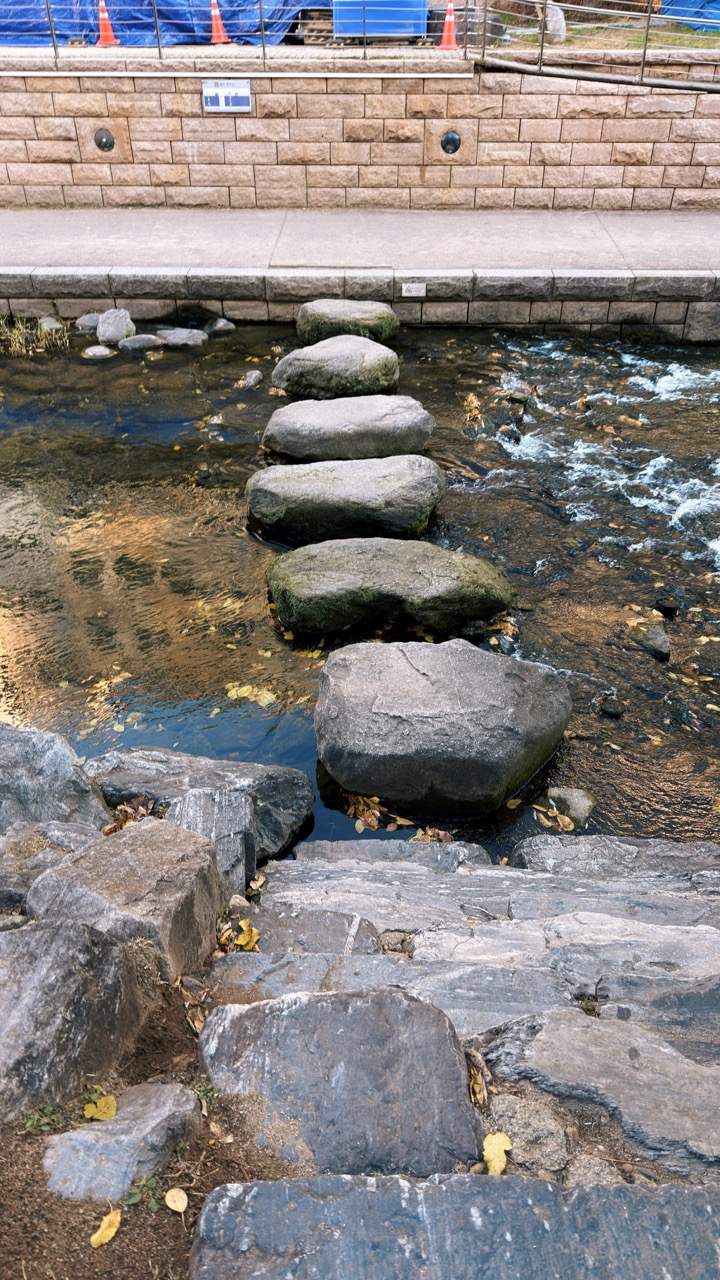 Cheonggyecheon Stream seoul