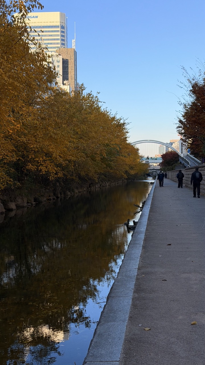 Cheonggyecheon Stream seoul