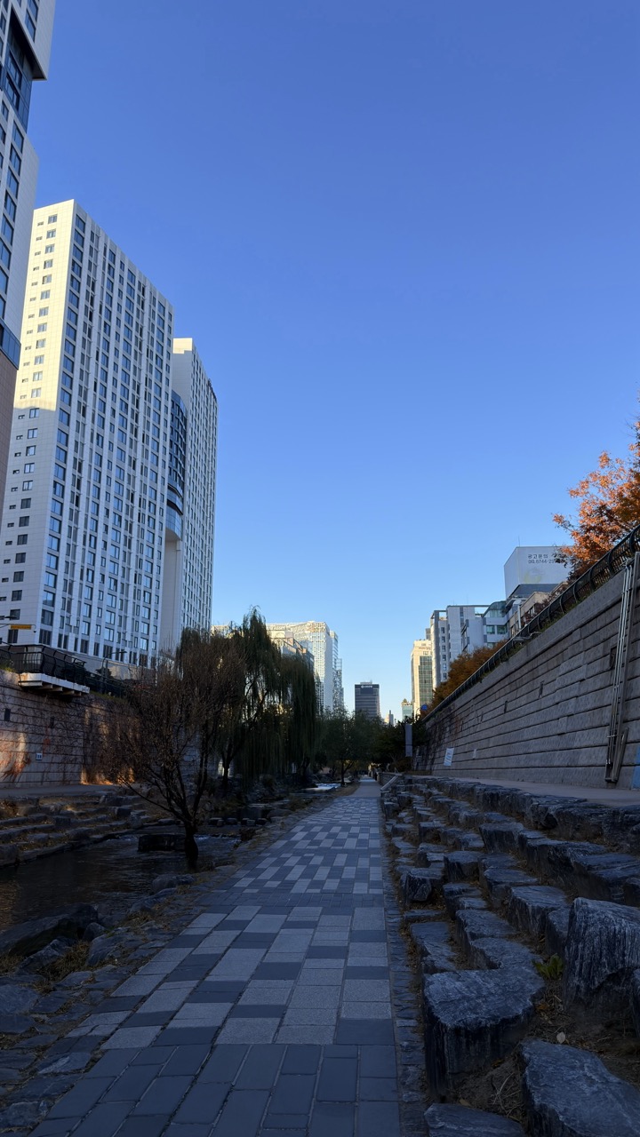 Cheonggyecheon Stream seoul