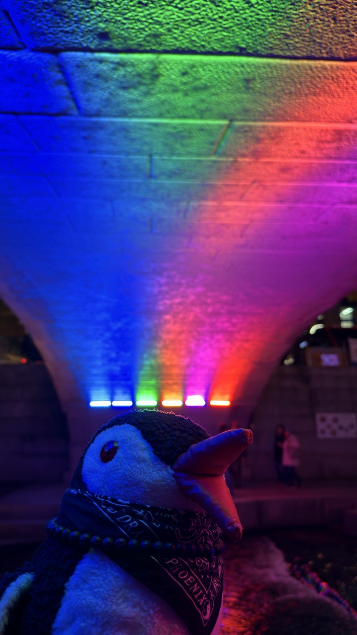 Cheonggyecheon Stream seoul