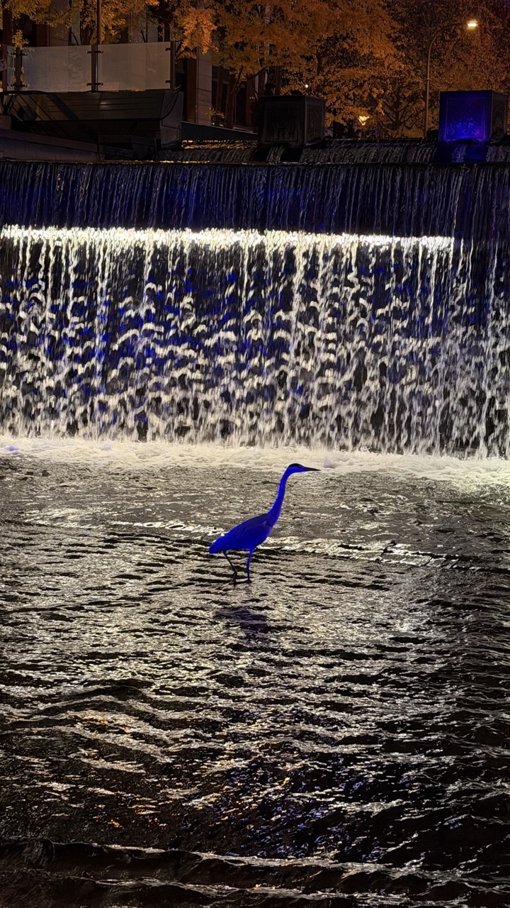 Cheonggyecheon Stream seoul