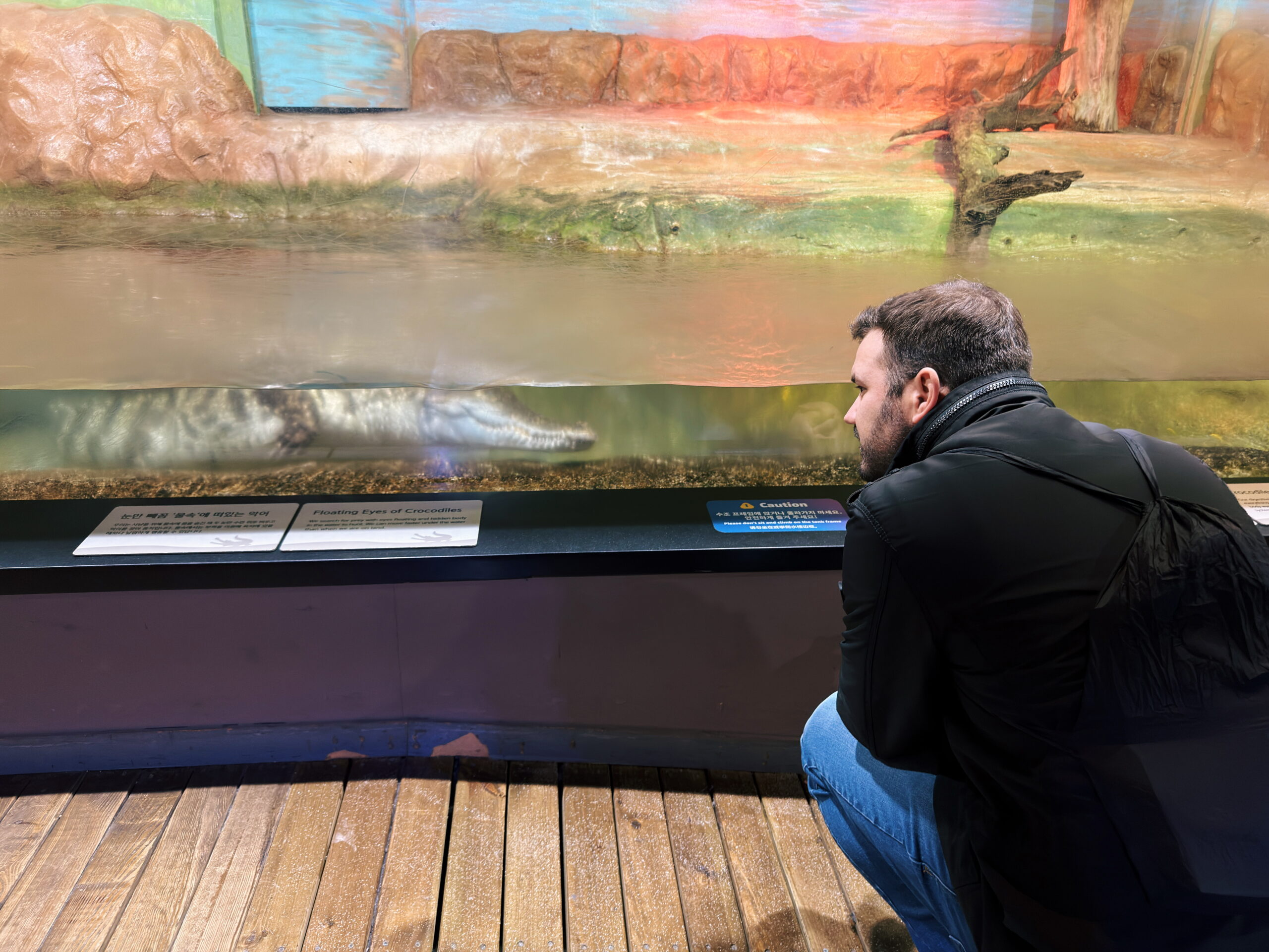 Sealife coex Aquarium Seoul