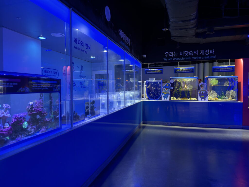Sealife coex Aquarium Seoul