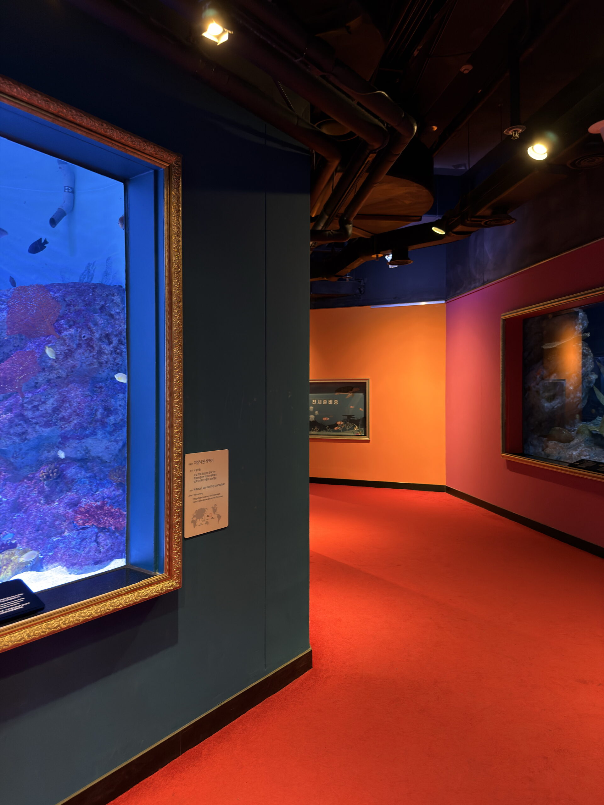 Sealife coex Aquarium Seoul