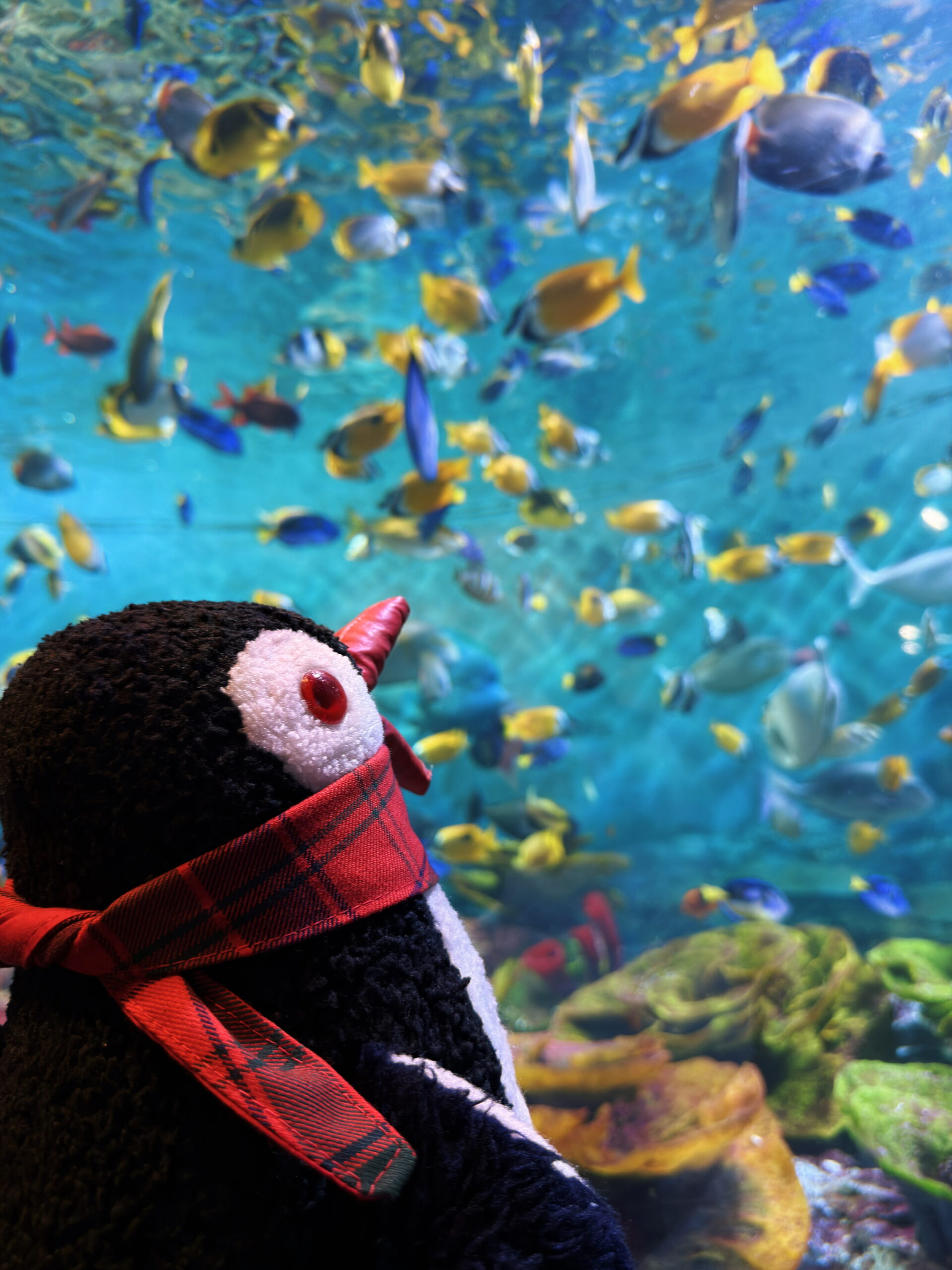Sealife coex Aquarium Seoul