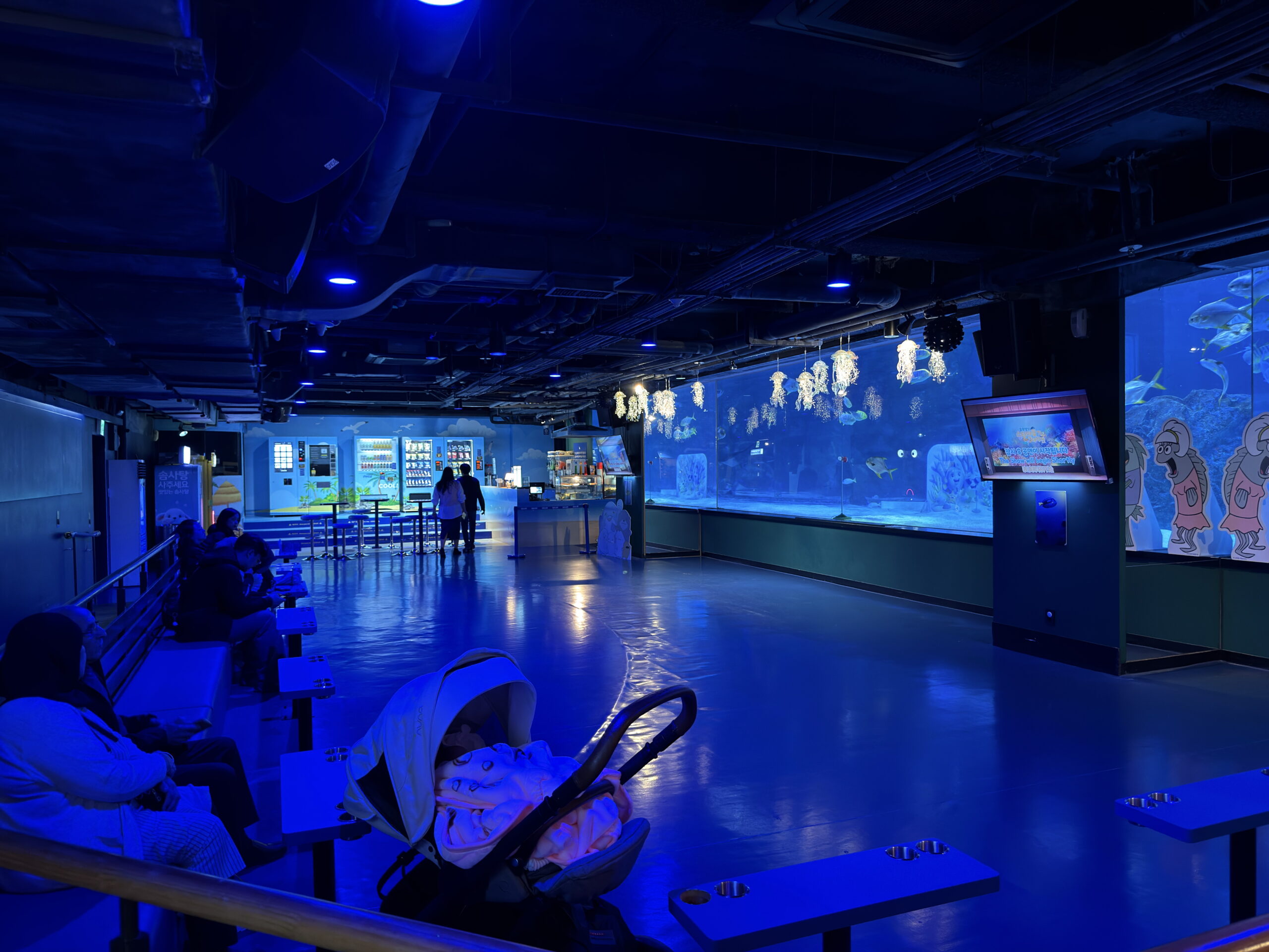 Sealife coex Aquarium Seoul