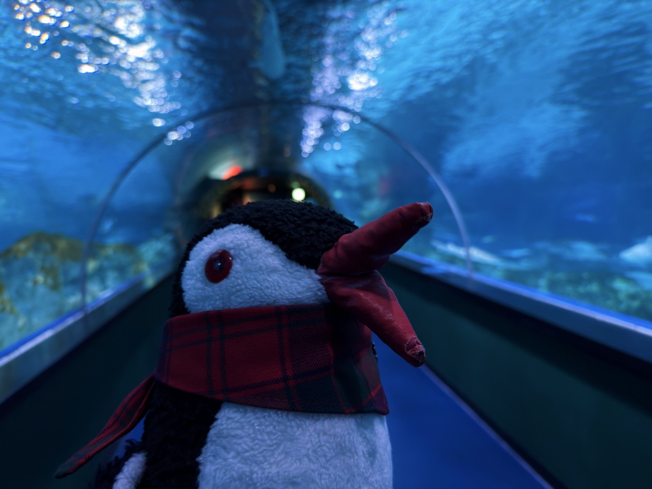 Sealife coex Aquarium Seoul