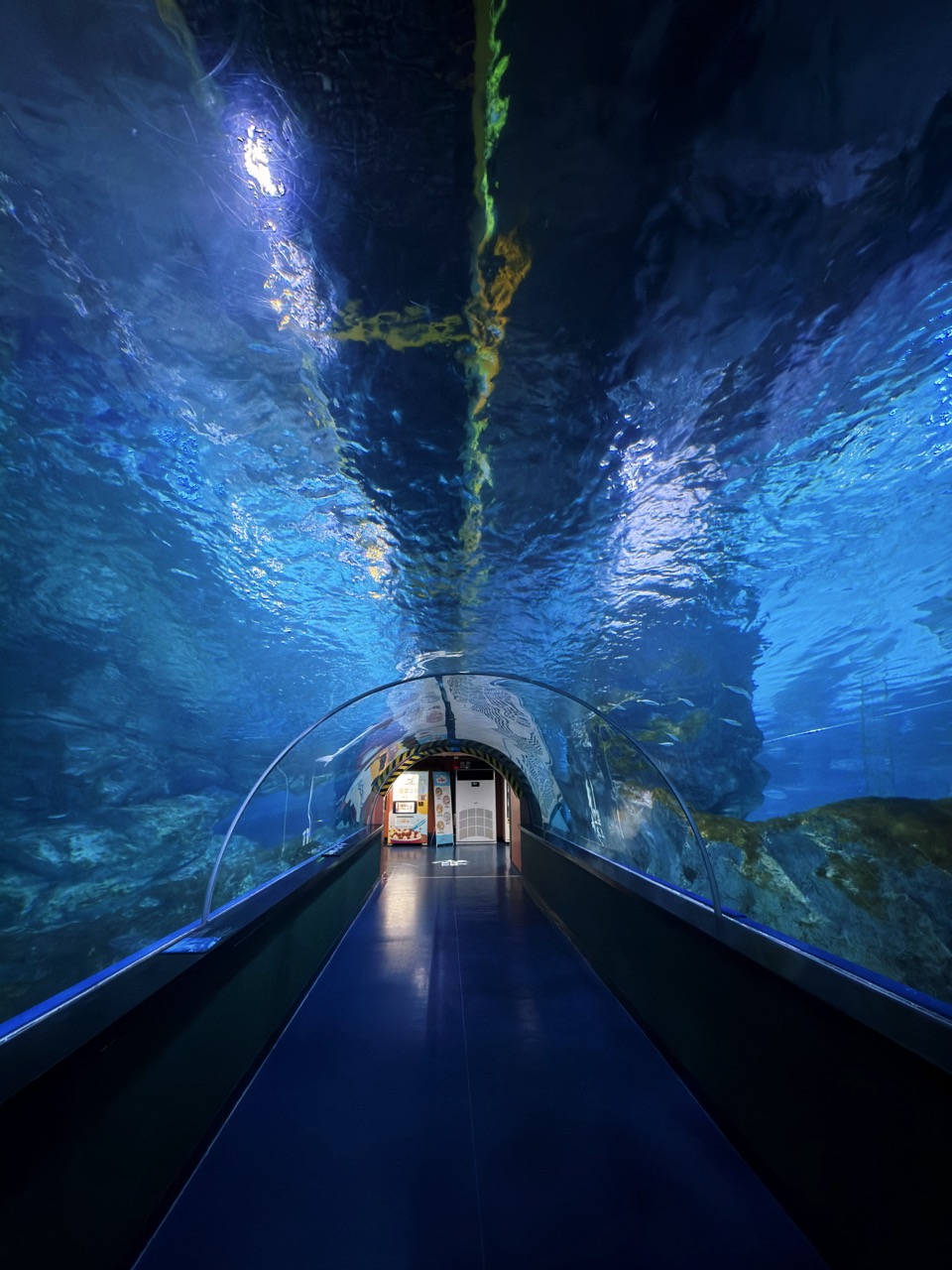 Sealife coex Aquarium Seoul