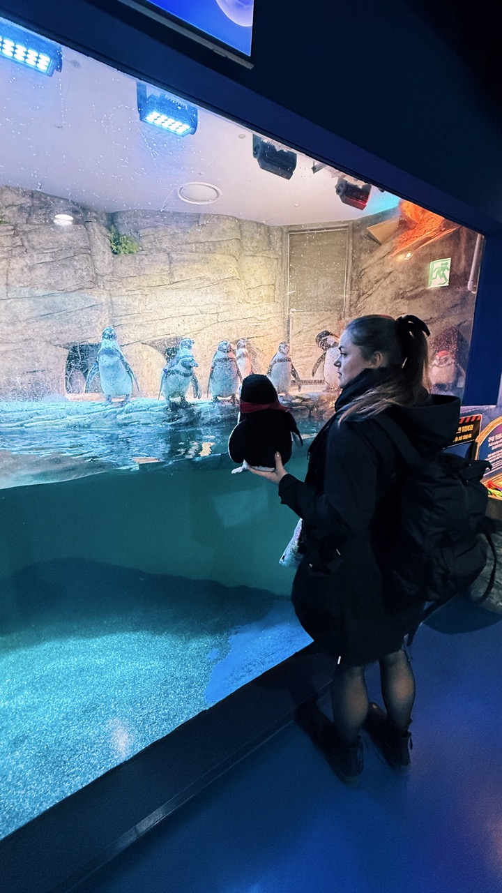 Sealife coex Aquarium Seoul