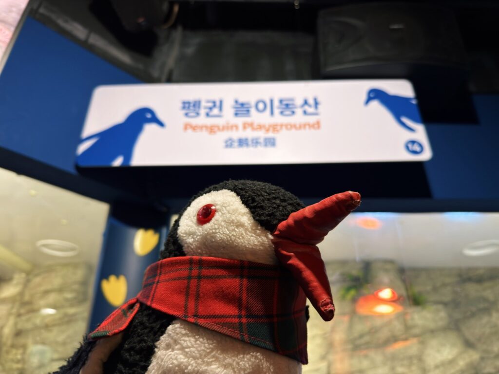 Sealife coex Aquarium Seoul
