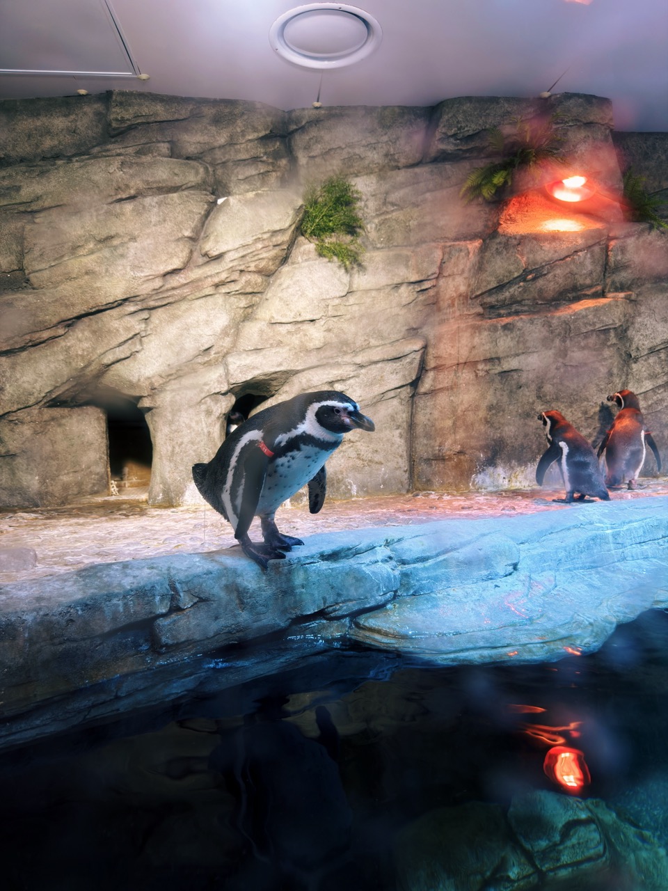Sealife coex Aquarium Seoul