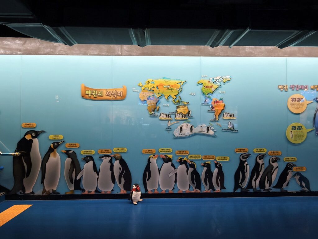Sealife coex Aquarium Seoul