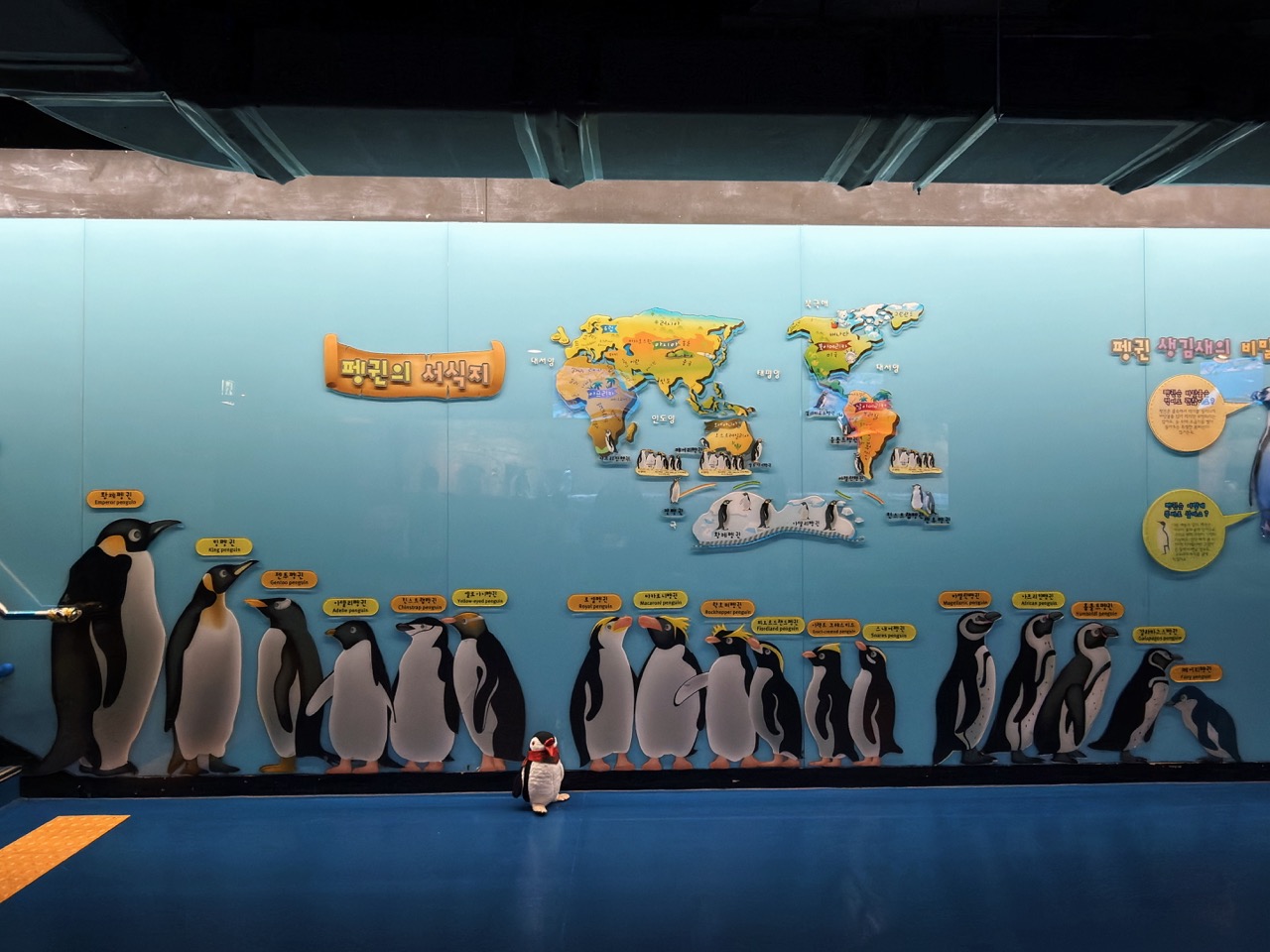 Sealife coex Aquarium Seoul
