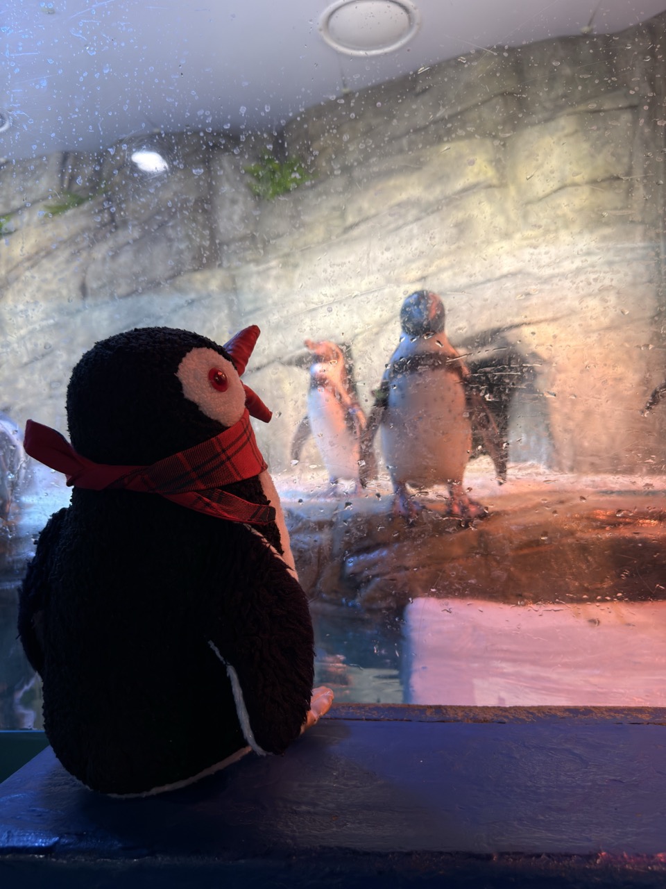 Sealife coex aquarium Seoul